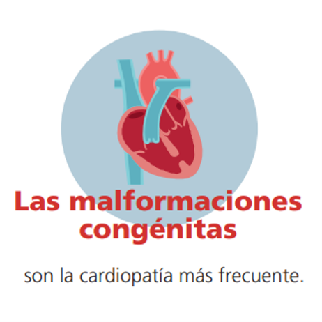 Las malformaciones congénitas son la cardiopatía más frecuente.