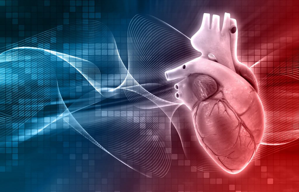 Las enfermedades cardiovasculares (EC) son aquellas que afectan al corazón y los vasos sanguíneos y constituyen la principal causa de muerte a nivel mundial.