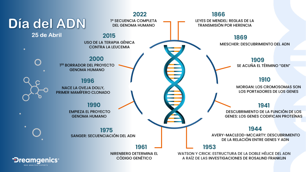 Día Internacional del ADN para conmemorar la publicación en la revista Nature del descubrimiento de la estructura de la doble hélice de ADN en 1953.
