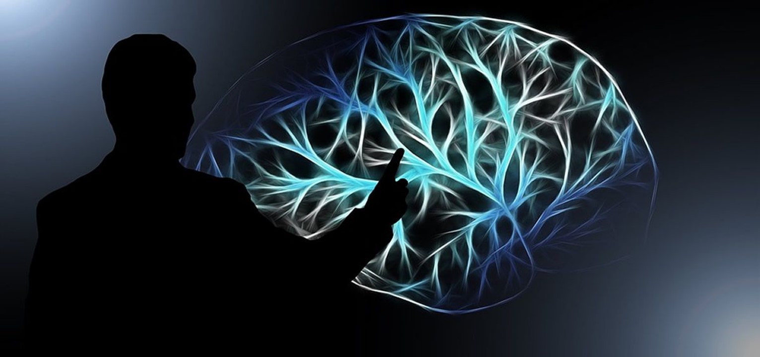 La enfermedad de Parkinson (EP) es un trastorno neurodegenerativo que afecta al sistema nervioso de manera crónica y progresiva.