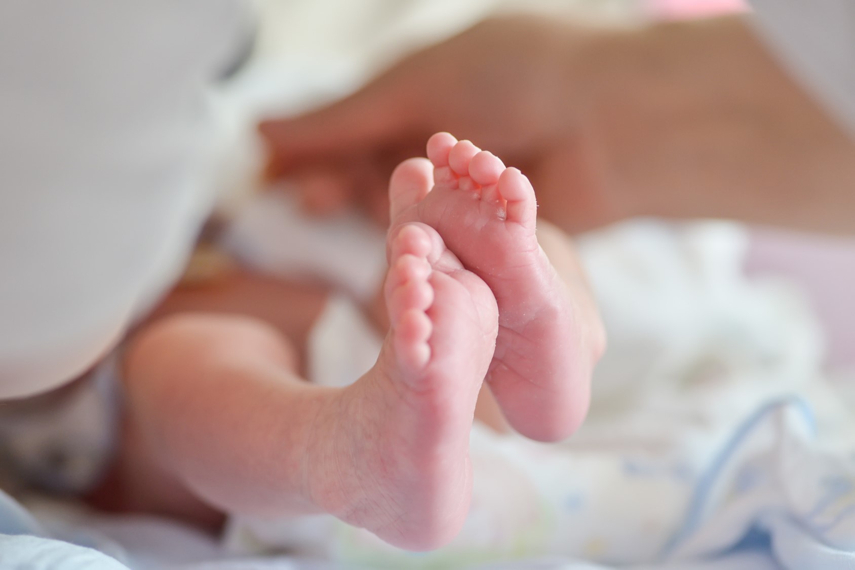 WP-Cribado-neonatal