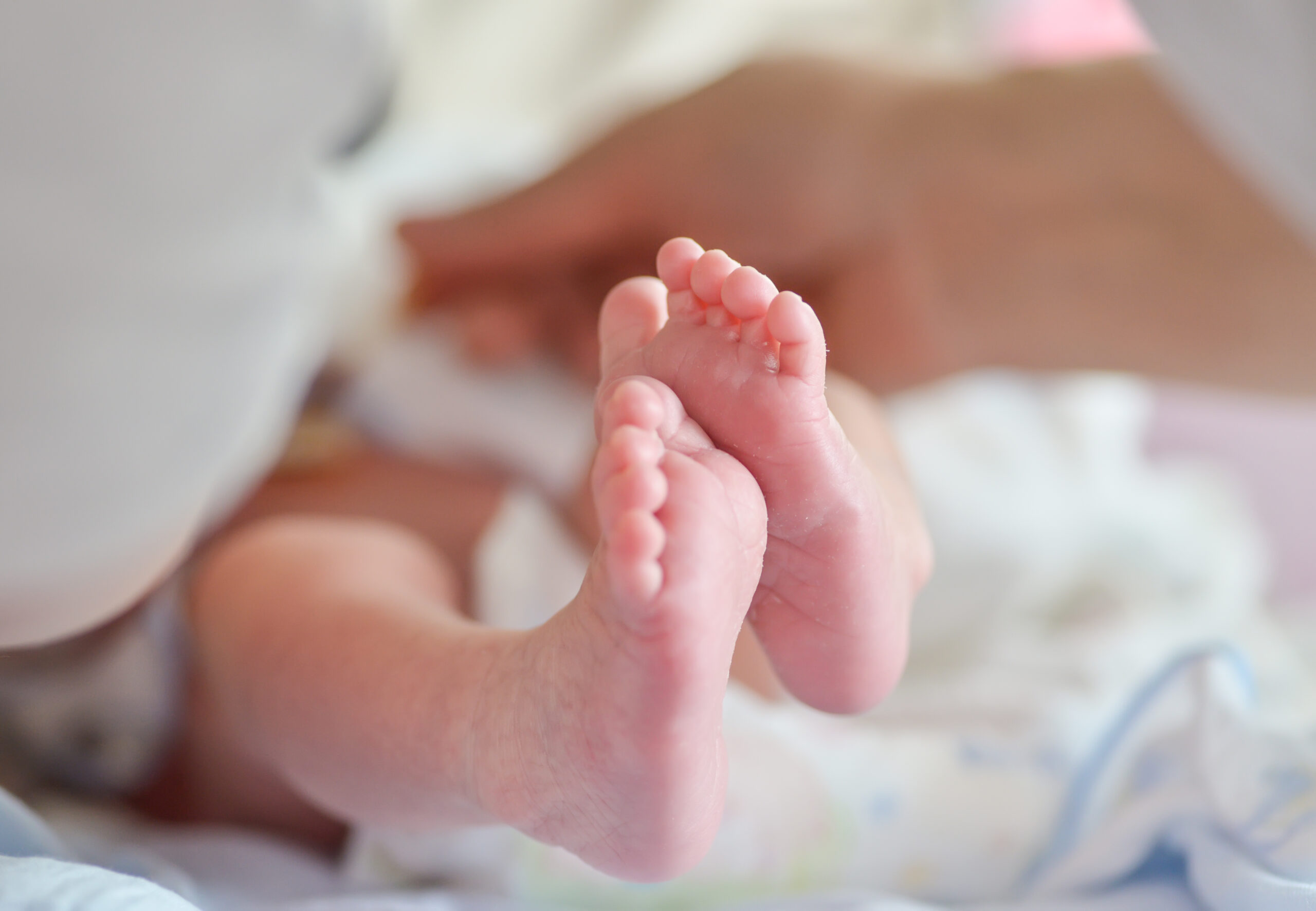 WP-Cribado-neonatal
